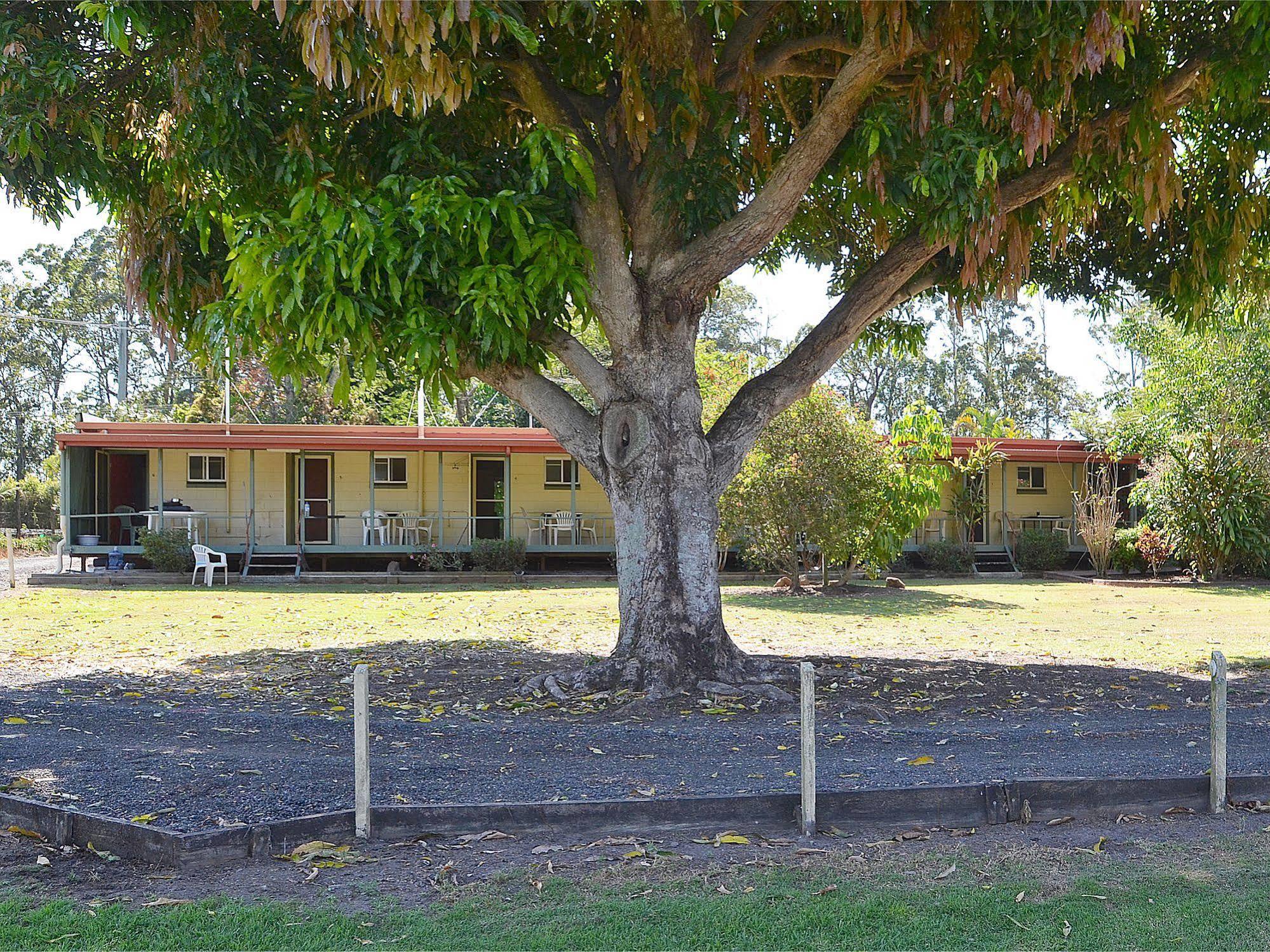 Beerwah Glasshouse Motel Extérieur photo